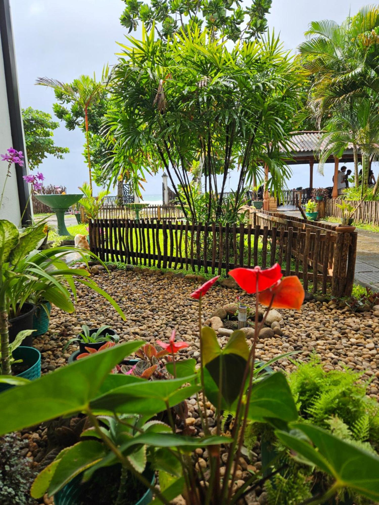 Balance Beach Resort Dickwella Exterior photo