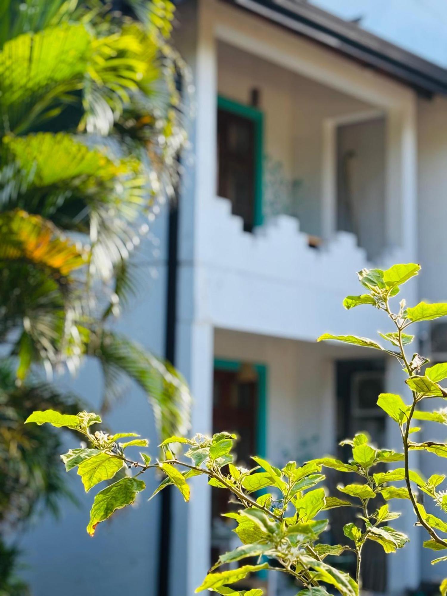Balance Beach Resort Dickwella Exterior photo