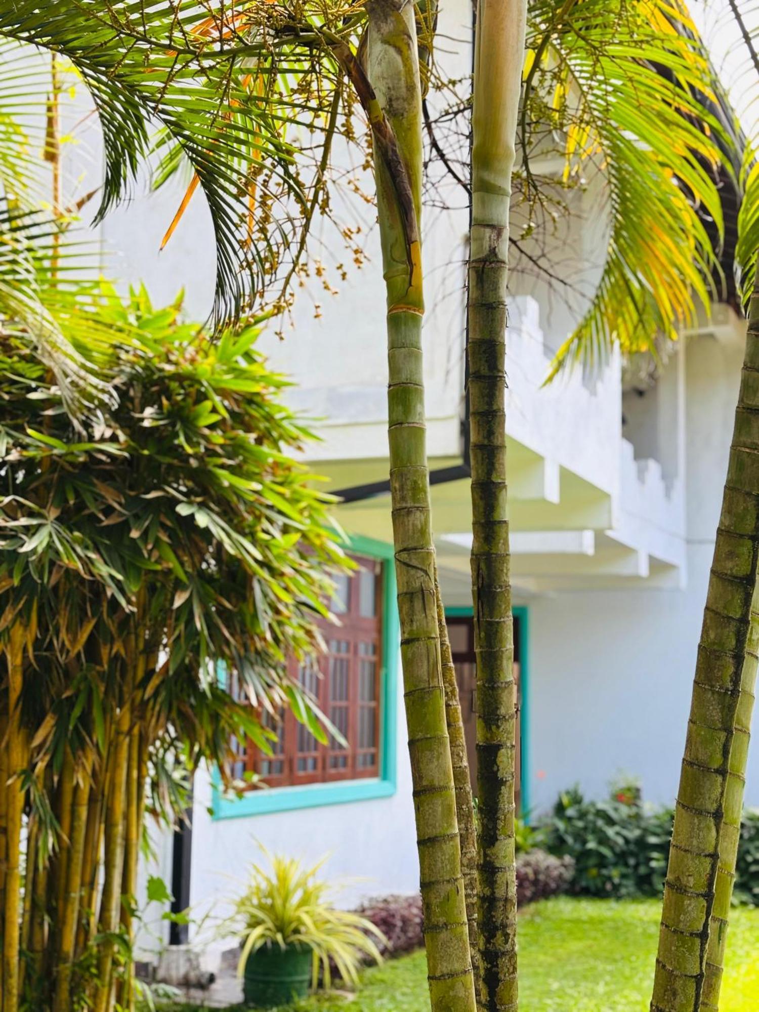 Balance Beach Resort Dickwella Exterior photo